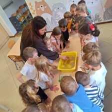 565164125_1275245344616019_7831140897709373156_n