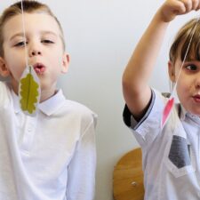 583063387_1299034212237132_2467293387150659474_n