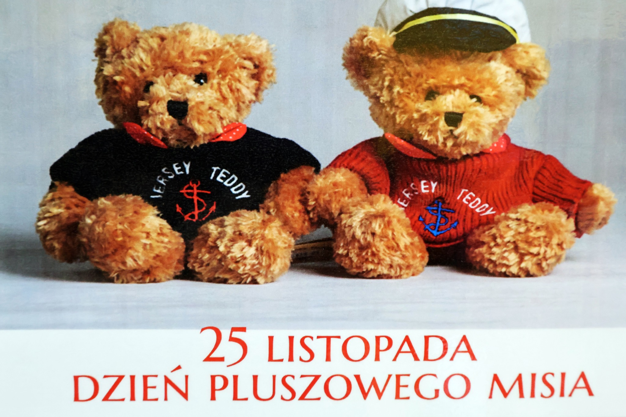 DZIEŃ PLUSZOWEGO MISIA 🧸