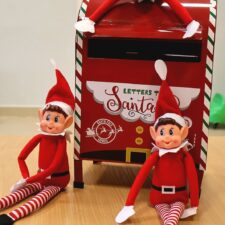 594062742_1314795230661030_8451094828644162819_n