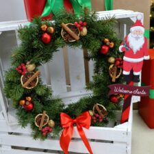 595245866_1318550676952152_8767394611115179267_n