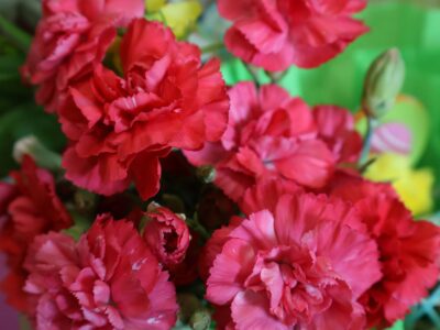 PIERWSZY DZIEŃ WIOSNY 🌸