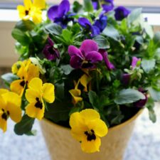 657900176_1410038427803376_4973539761645205523_n